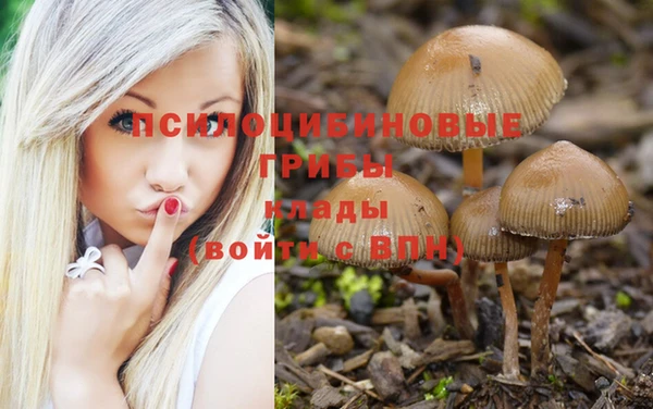мяу мяу кристалл Инта